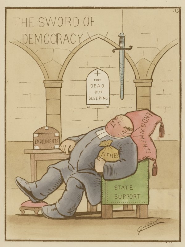 Das Schwert der Demokratie von Martin Cynicus Anderson