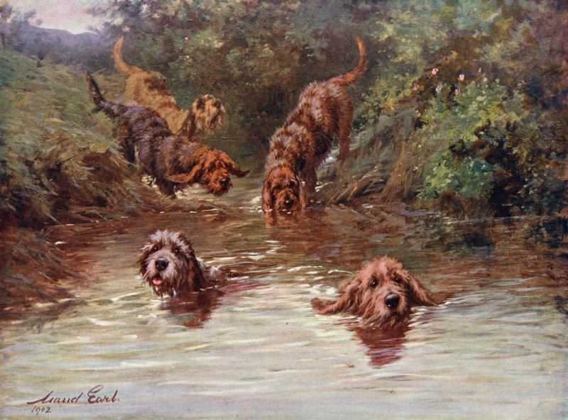Ins Wasser gehen von Maud Earl