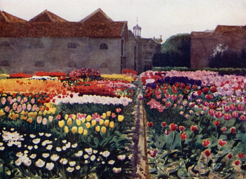 Ein Garten eines Zwiebelzüchters von Mima Nixon
