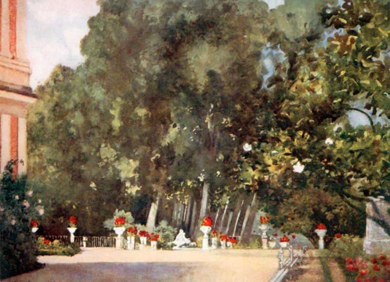 Der Magnolienbaum, Aranjuez von Mima Nixon