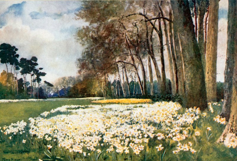 Der Park, Sandringham von Mima Nixon