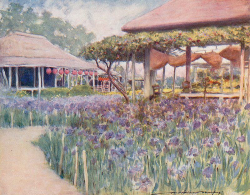 Ein Irisgarten von Mortimer Ludington Menpes