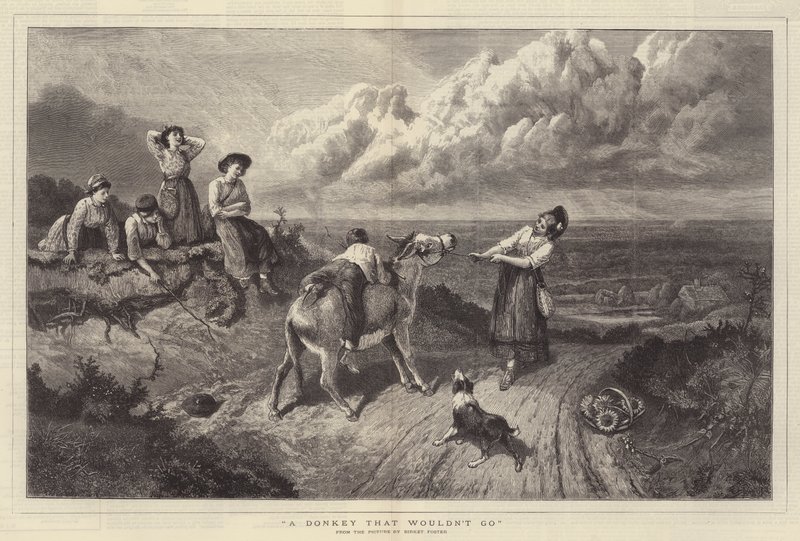 Ein Esel, der nicht gehen wollte von Myles Birket Foster
