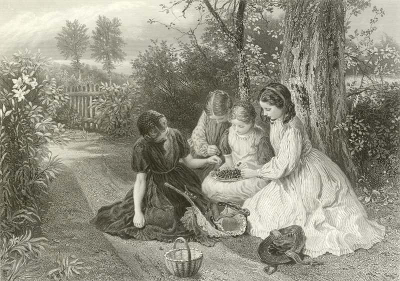 Ein Fest der Kirschen von Myles Birket Foster