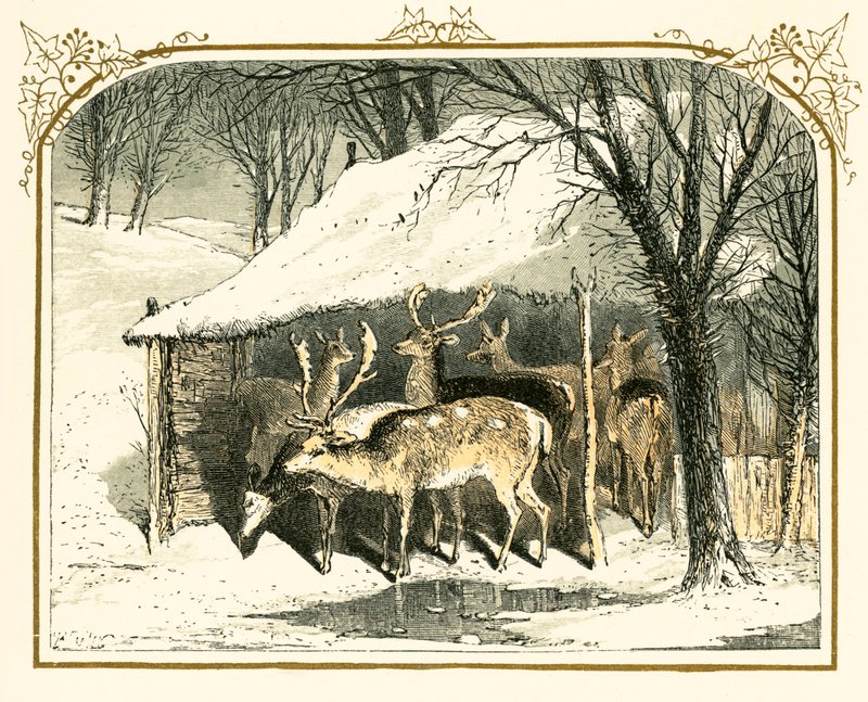 Hirsche im Schnee von Myles Birket Foster