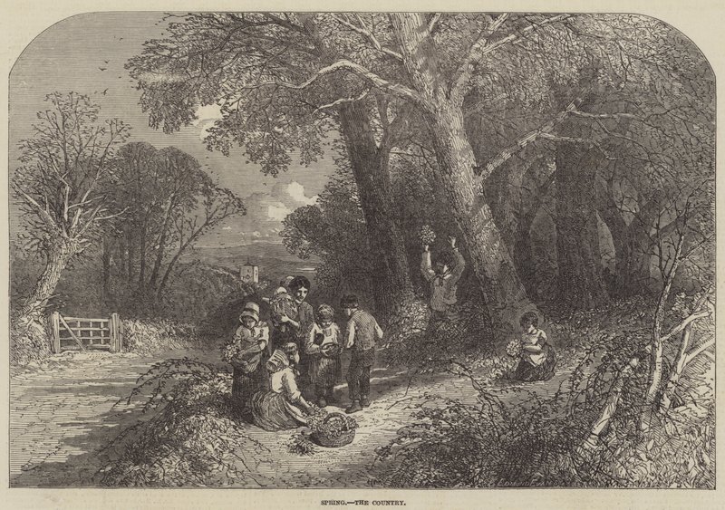 Frühling, das Land von Myles Birket Foster