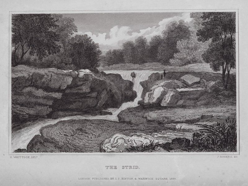 The Strid von Nathaniel (after) Whittock
