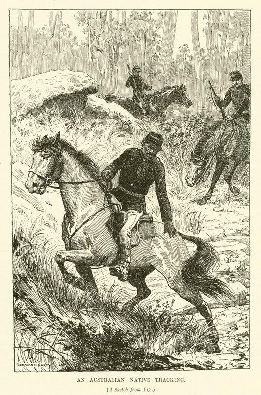 Ein australischer Ureinwohner auf der Spur (Gravur) von Norman Hardy