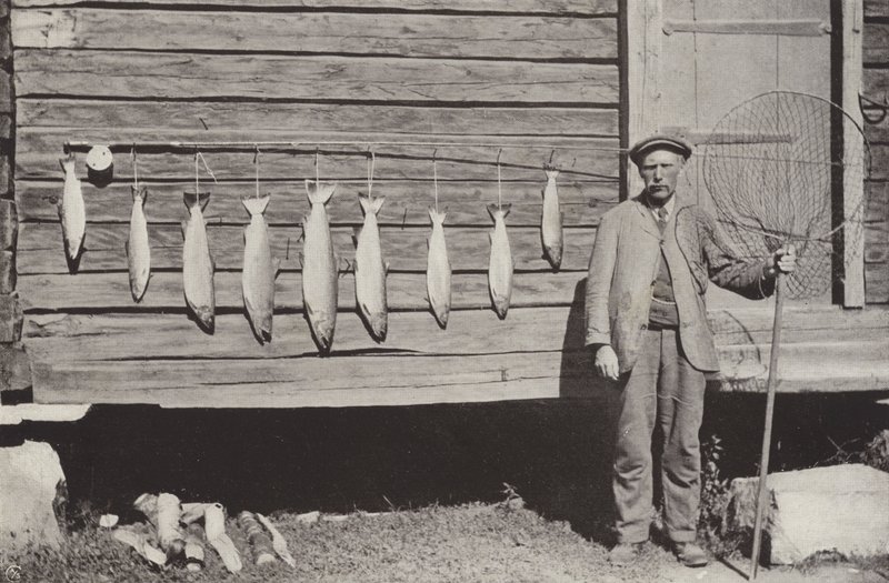 Forellenfischen von Norwegian Photographer