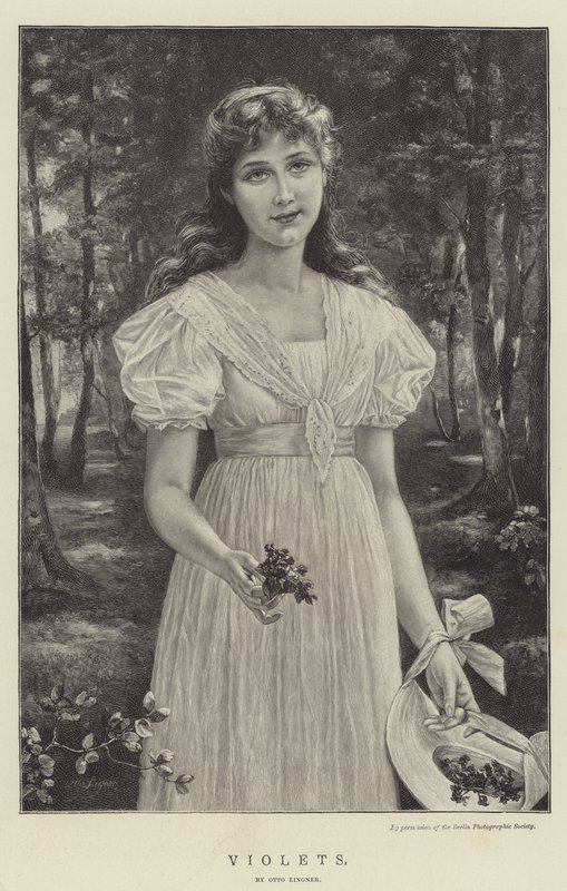 Veilchen von Otto Theodor Gustav Lingner