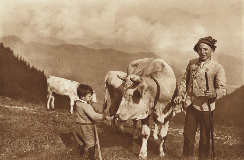 Auf der Alm von Otto Ballerstedt