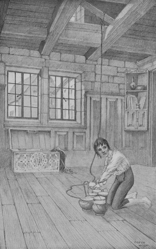 Kartusche und der Honig von Patten Wilson