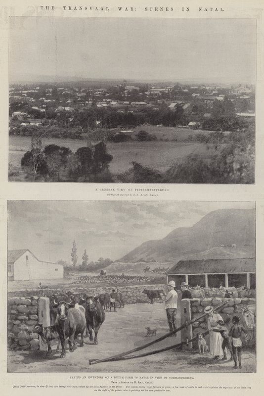 Der Transvaal-Krieg, Szenen in Natal von Paul Frenzeny