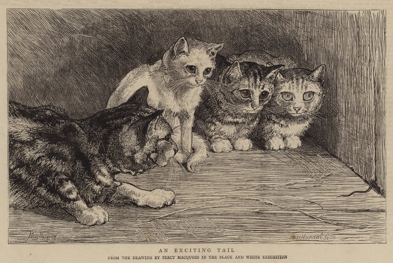 Eine aufregende Geschichte von Percy Macquoid