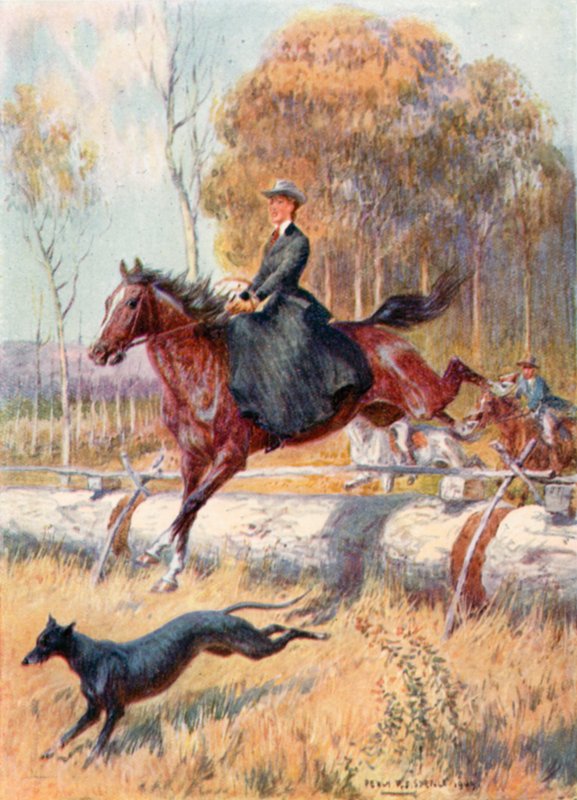 Kängurujagd von Percy F.S. (after) Spence