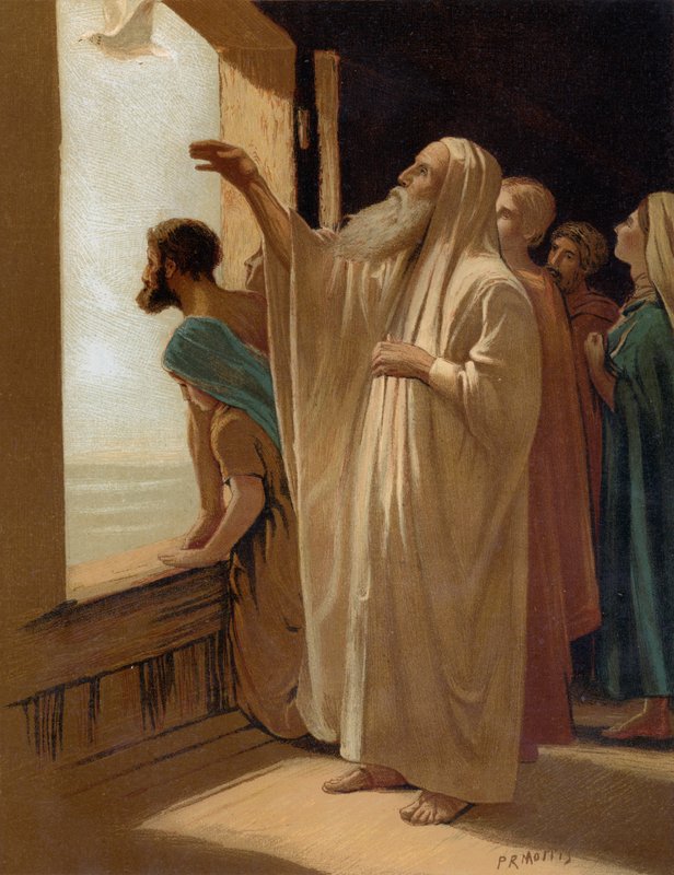 Noah sendet die Taube während der Flut aus von Philip Richard Morris