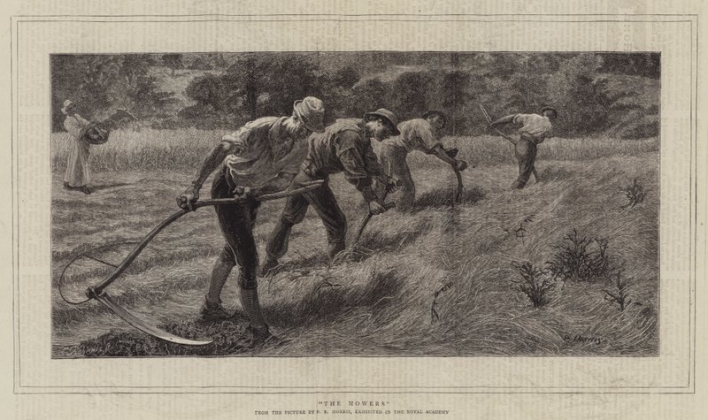 Die Mäher von Philip Richard Morris