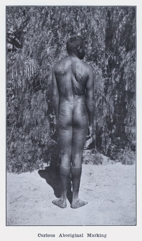 Neugierige Aborigine-Markierung von Photographer Australian