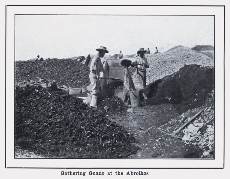 Guano-Sammlung bei den Abrolhos von Photographer Australian