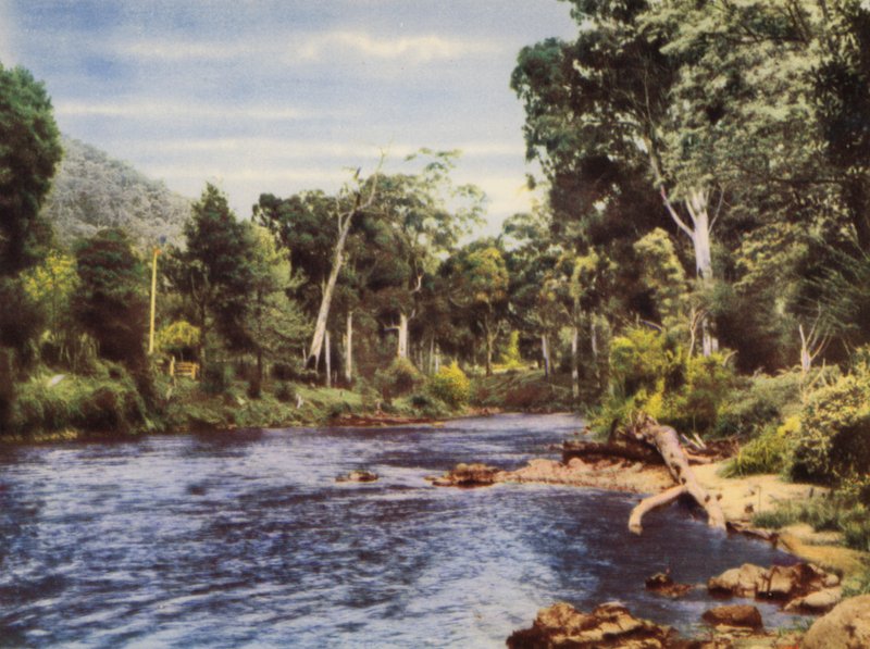 Yarra River von Photographer Australian
