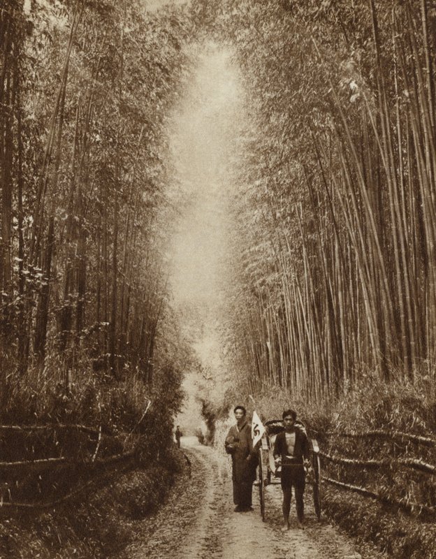 Bambushain, Japan von Photographer Japanese