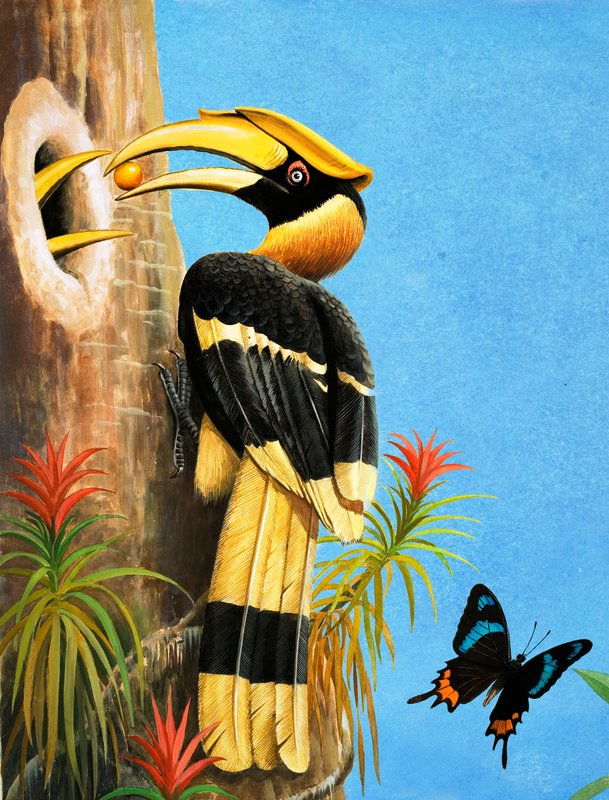 Der Hornvogel von R.B. Davis
