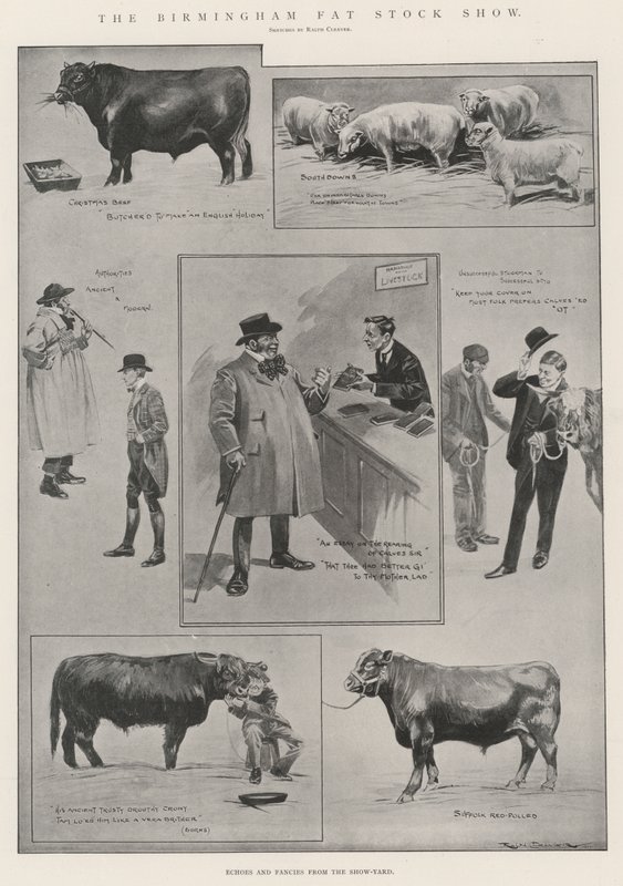 Die Birmingham Fat Stock Show von Ralph Cleaver