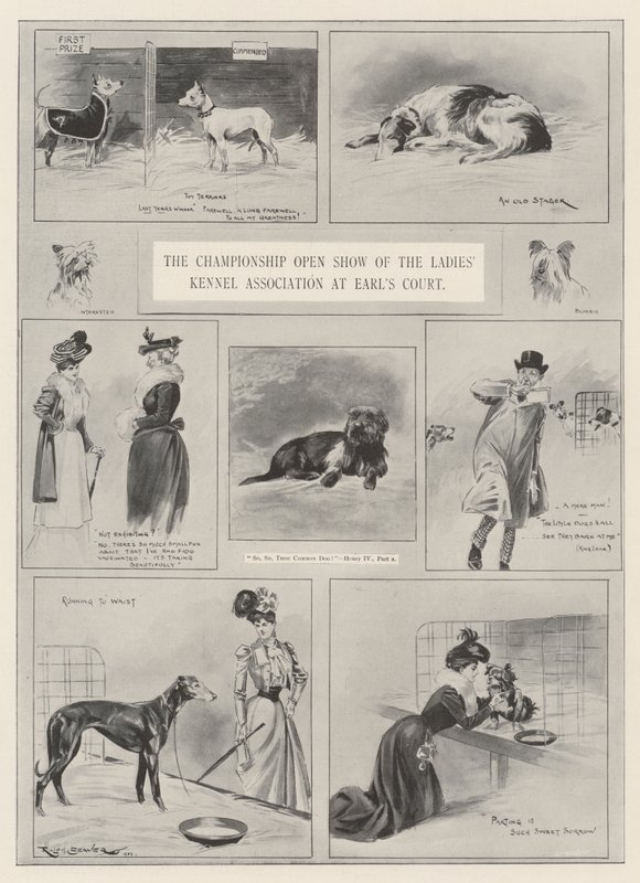 Die Meisterschaftsausstellung der Ladies