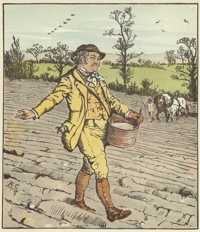 Das Haus, das Jack gebaut hat von Randolph Caldecott