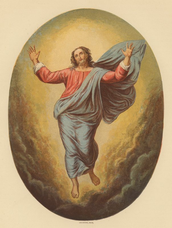 Die Himmelfahrt von Raphael (1483 1520) (after)