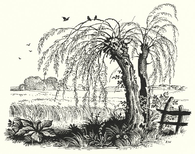 Hans Christian Andersen: Der Buchweizen (Lithographie) von Rex (after) Whistler