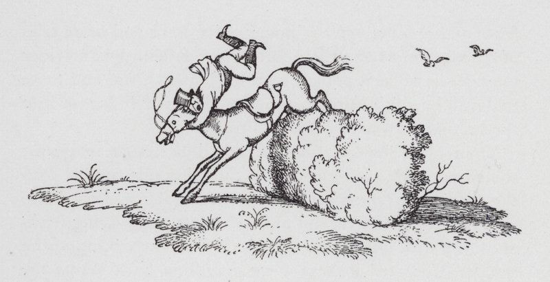 Das Grand National von Rex (after) Whistler