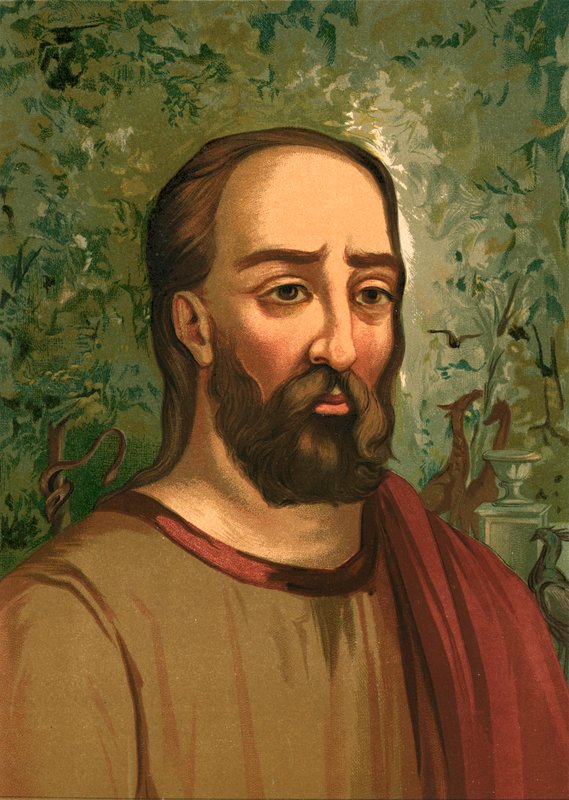 Plinius der Ältere von Ricardo Marti