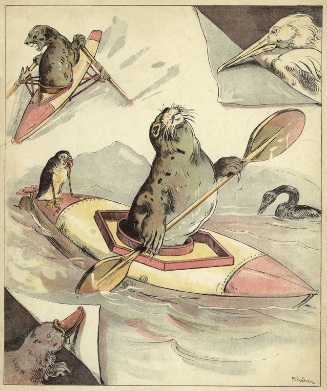 Robbe beim Kanufahren von Richard Andre