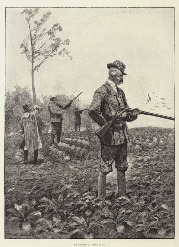 Rebhuhnjagd von Richard Caton Woodville junior