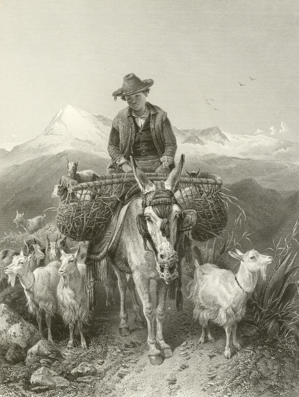Der Ziegenhirte von Granada von Richard Ansdell