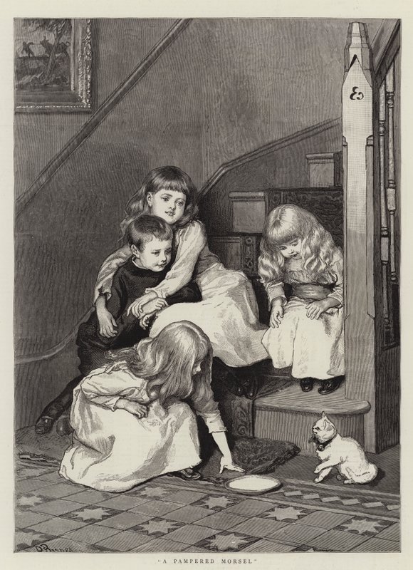 Ein verwöhntes Häppchen von Robert Barnes