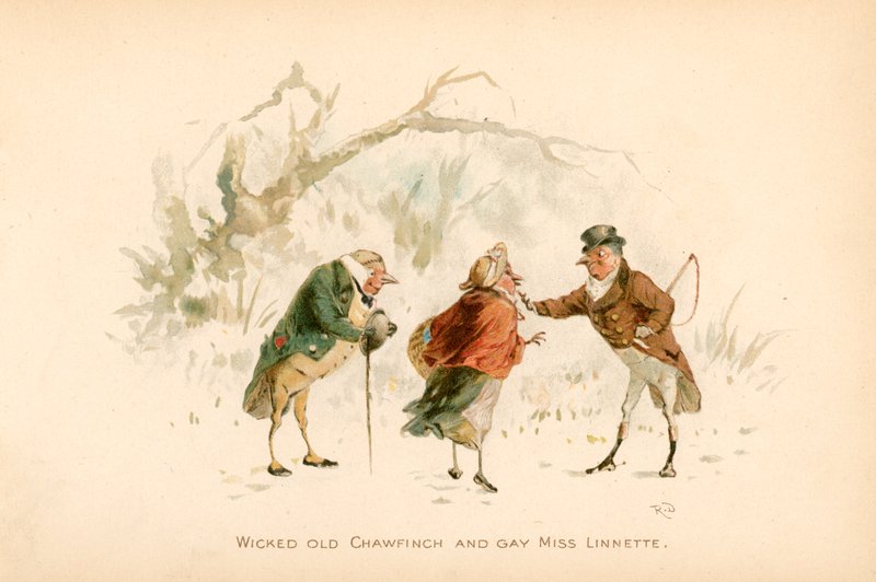 Illustration für The Twigs oder Weihnachten in Ruddock Hall von Robert Dudley