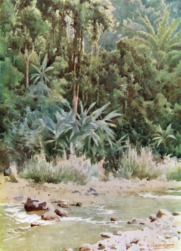 Ein Dschungelbach von Robert George Talbot Kelly