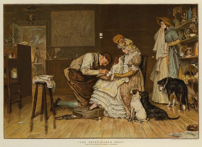 Der Laden des Tierarztes von Robert Walker Macbeth