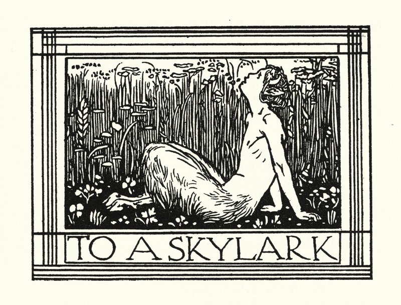 Shelley: An eine Lerche (Lithografie) von Robert Anning Bell