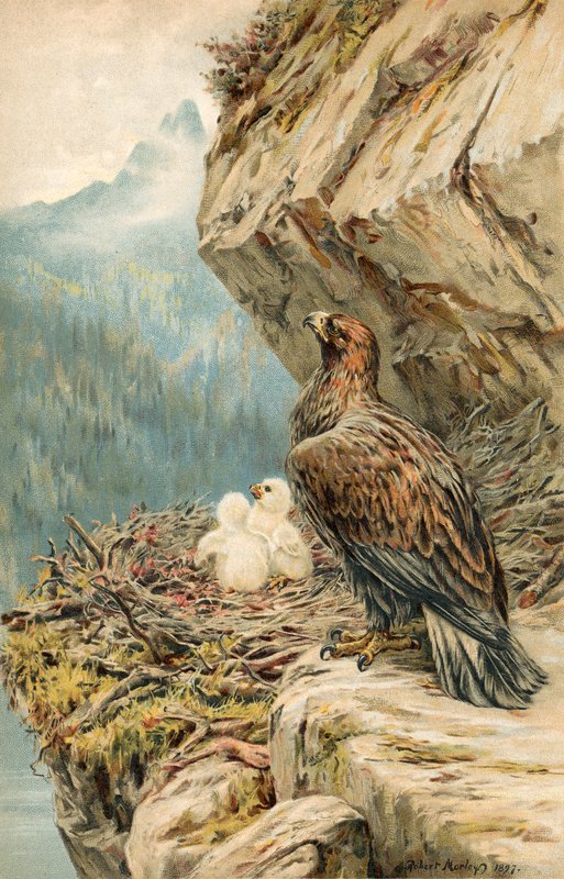 Kinder des Berges von Robert Morley
