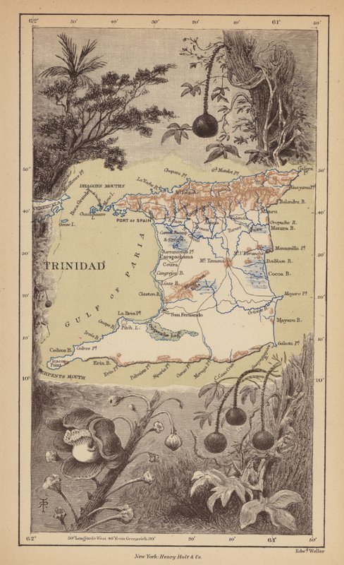 Trinidad von Robert Pritchett