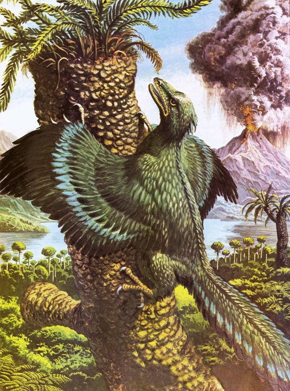 Archaeopteryx von Roger Payne