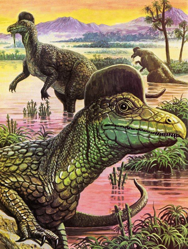 Corythosaurus von Roger Payne