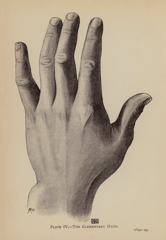 Die elementare Hand von Rosamund Brunel Horsley Gotch