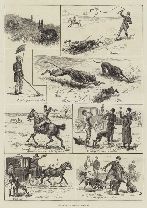 Coursing-Wettkämpfe von S.T. (after) Dadd