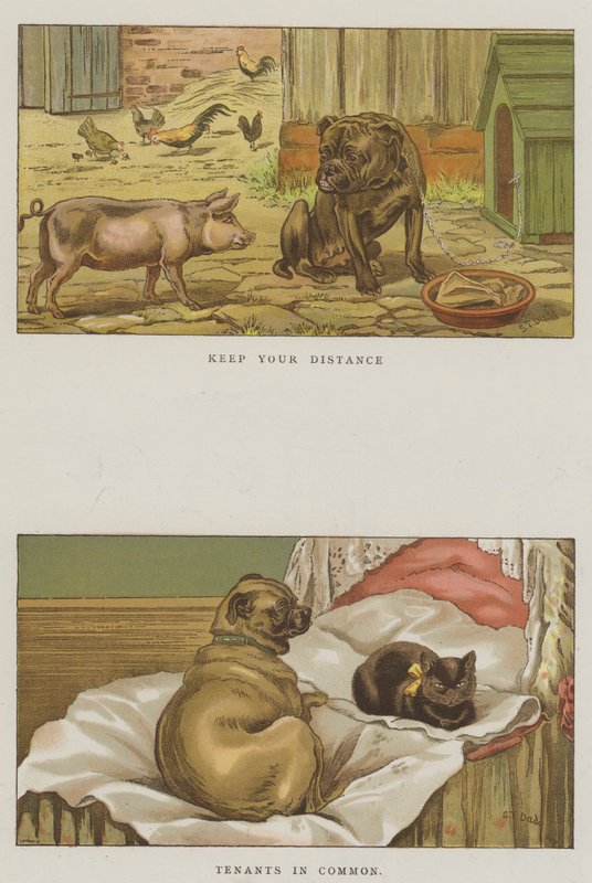 Humorvolle Hunde von S.T. Dadd