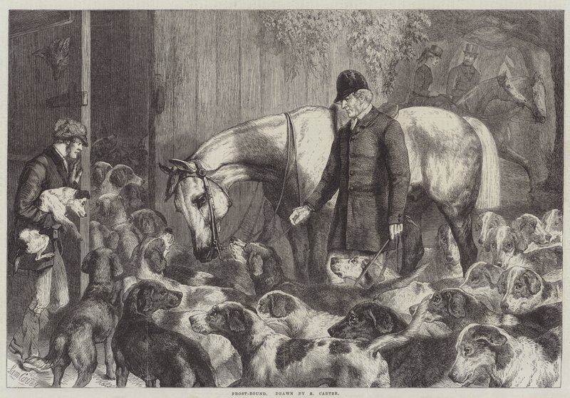 Frostgebunden von Samuel John Carter