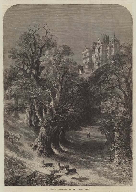 Merlewood Chase von Samuel Read